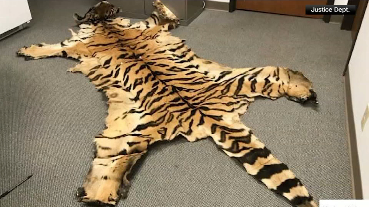 California couple pleads guilty to trafficking wildlife
       — King of Prussia Community news
